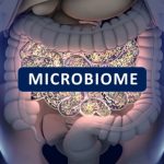 Gut Microbiome affects health and wellbeing