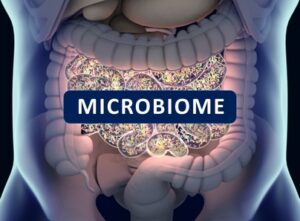 Gut Microbiome affects health and wellbeing