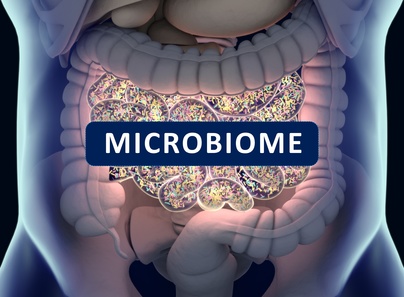 good Gut Health is Key for your Fertility