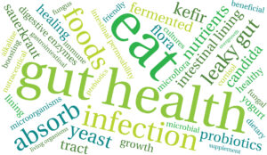 All things connected to gut health