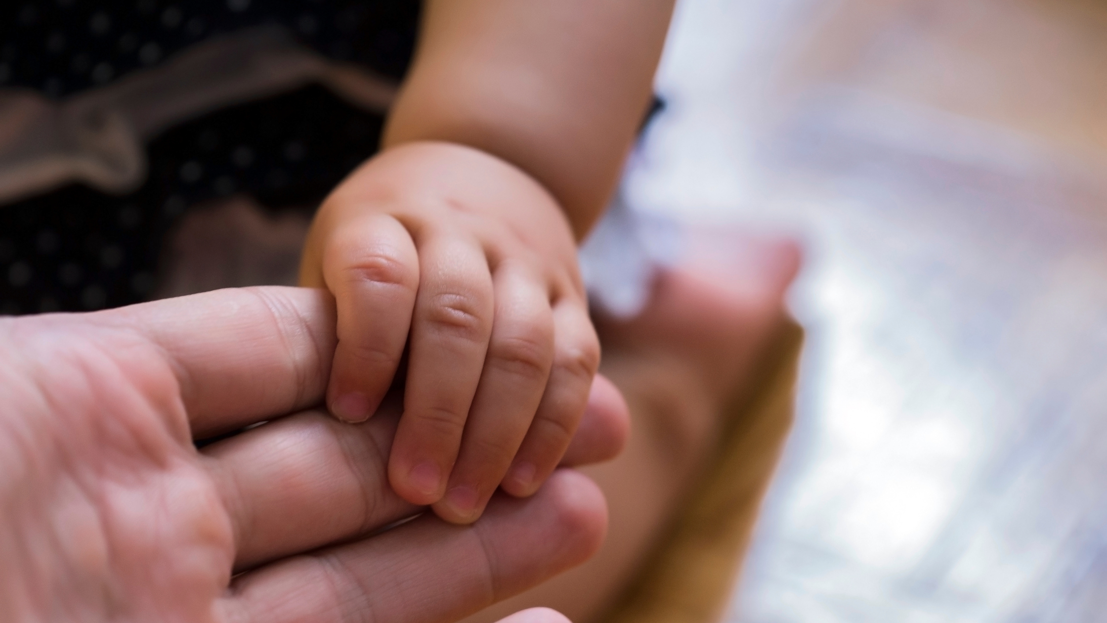 Healing the Past to Create a Conscious Future